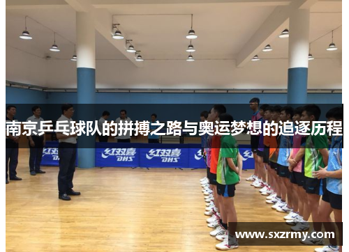南京乒乓球队的拼搏之路与奥运梦想的追逐历程